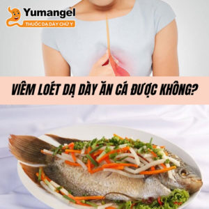 Người bị viêm loét dạ dày hoàn toàn có thể thêm cá vào bữa ăn hàng ngày. 