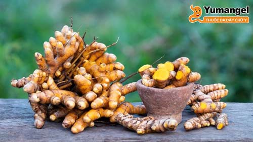 Nghệ có chứa curcumin - một polyphenol mạnh với đặc tính chống viêm được phát hiện giúp làm giảm tình trạng viêm ở niêm mạc dạ dày.