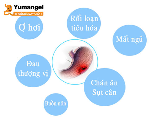 Người bệnh viêm dạ dày và loét dạ dày đều bị au thượng vị, đầy hơi, ợ chua, ợ hơi, buồn nôn, nôn… nhưng triệu chứng của loét dạ dày nghiêm trọng hơn.