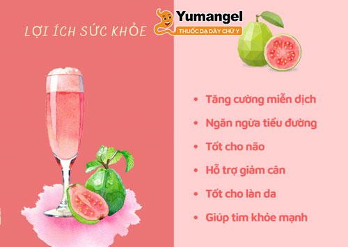 Quả ổi giàu dinh dưỡng tốt cho sức khỏe. 