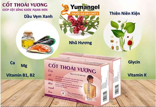 Hình ảnh sản phẩm Cốt Thoái Vương. 