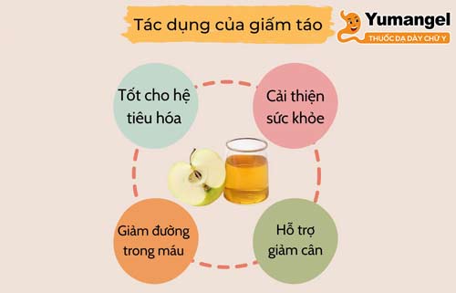 Một số công dụng của giấm táo với sức khỏe và làn da. 