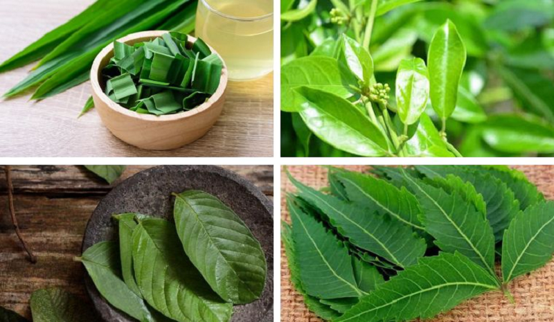 Uống thuốc tiểu đường có hại dạ dày không?