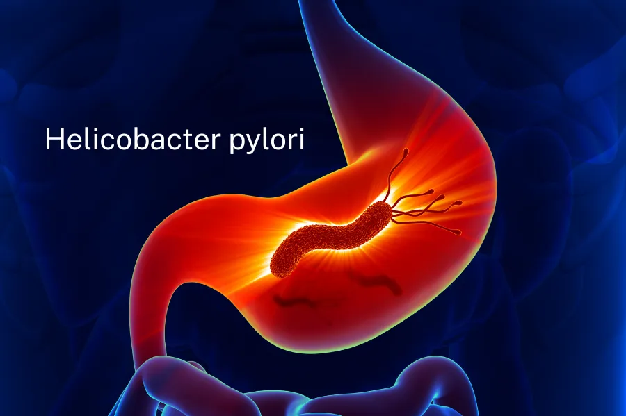 Tinh dầu thông đỏ có bảo vệ hoặc điều trị bệnh dạ dày không?