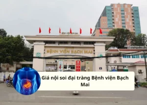 Giá nội soi đại tràng Bệnh viện Bạch Mai