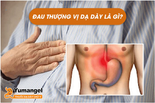 Đau thượng vị là thuật ngữ mô tả sự khó chịu hoặc đau nhức xảy ra bên dưới lồng xương sườn ở vùng bụng trên.