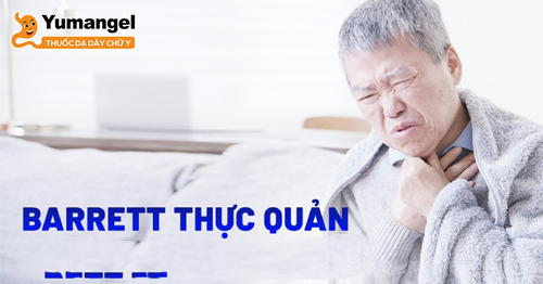 Ngoài đau thượng vị, người bệnh Barrett thực quản còn thường xuyên ợ nóng, ợ chua, đau tức ngực khó thở… 