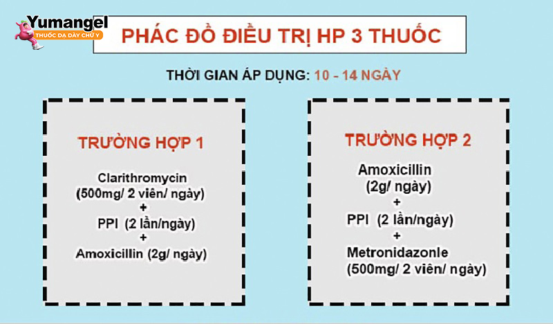 Phác đồ trị liệu 3 thuốc áp dụng cho người bệnh mới điều trị lần đầu hoặc mức độ nhiễm khuẩn ở mức nhẹ.