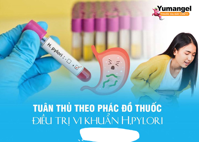 Bệnh nhân nên đi khám và tuân thủ nghiêm ngặt phác đồ điều trị HP do bác sĩ chỉ định để đảm bảo đạt hiệu quả cao nhất. 