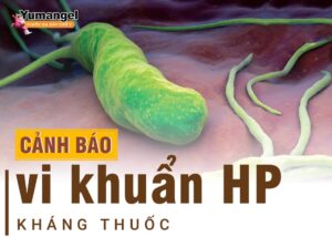 Vi khuẩn HP kháng thuốc