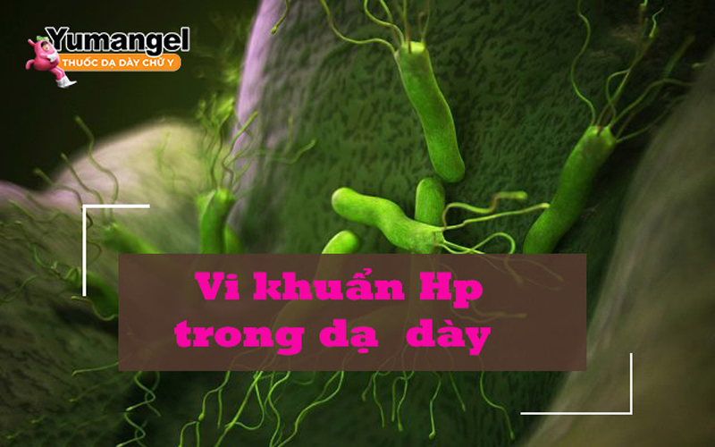 Nhiễm vi khuẩn HP thường được điều trị bằng thuốc. 