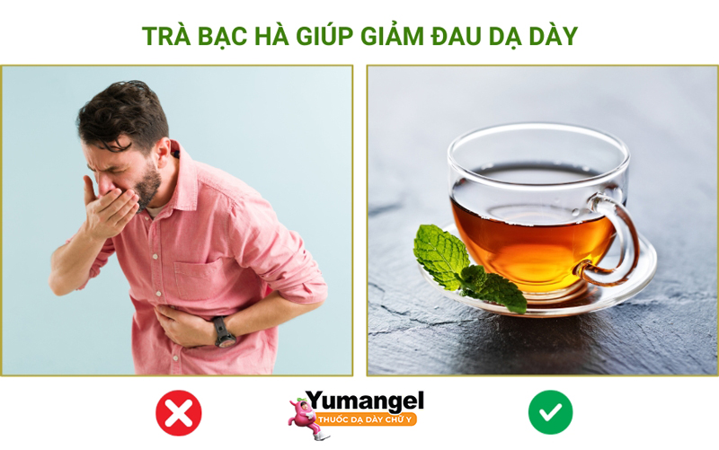 Menthol có trong bạc hà có thể giúp giảm đau và giảm buồn nôn.