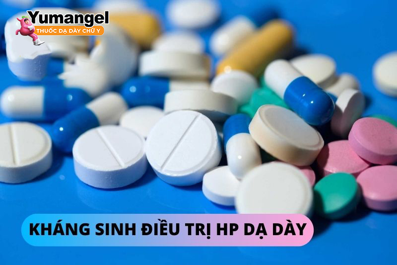 Thuốc kháng sinh có tác dụng tiêu diệt vi khuẩn HP. 