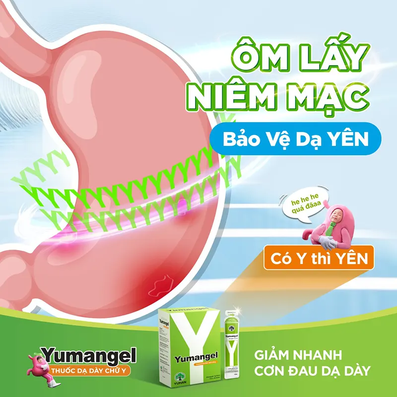 Thuốc dạ dày chữ Y giúp giảm nhanh cơn đau dạ dày chỉ sau 5-10 phút sử dụng. 