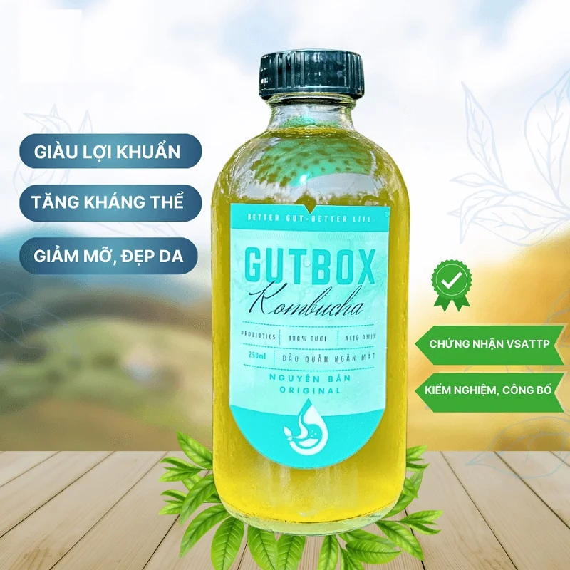 đau dạ dày có uống được kombucha không 5