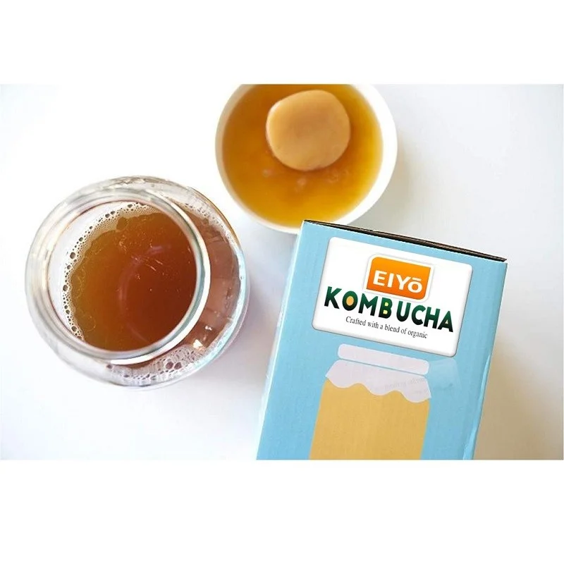 đau dạ dày có uống được kombucha không 6