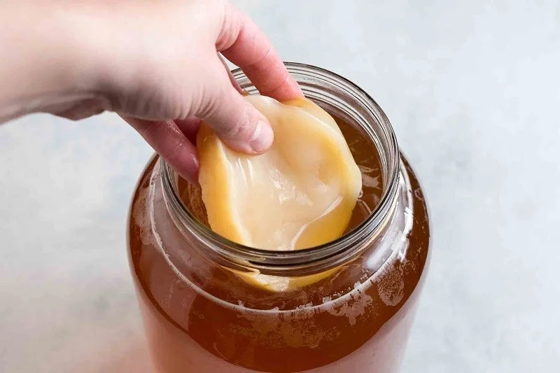 đau dạ dày có uống được kombucha không 7