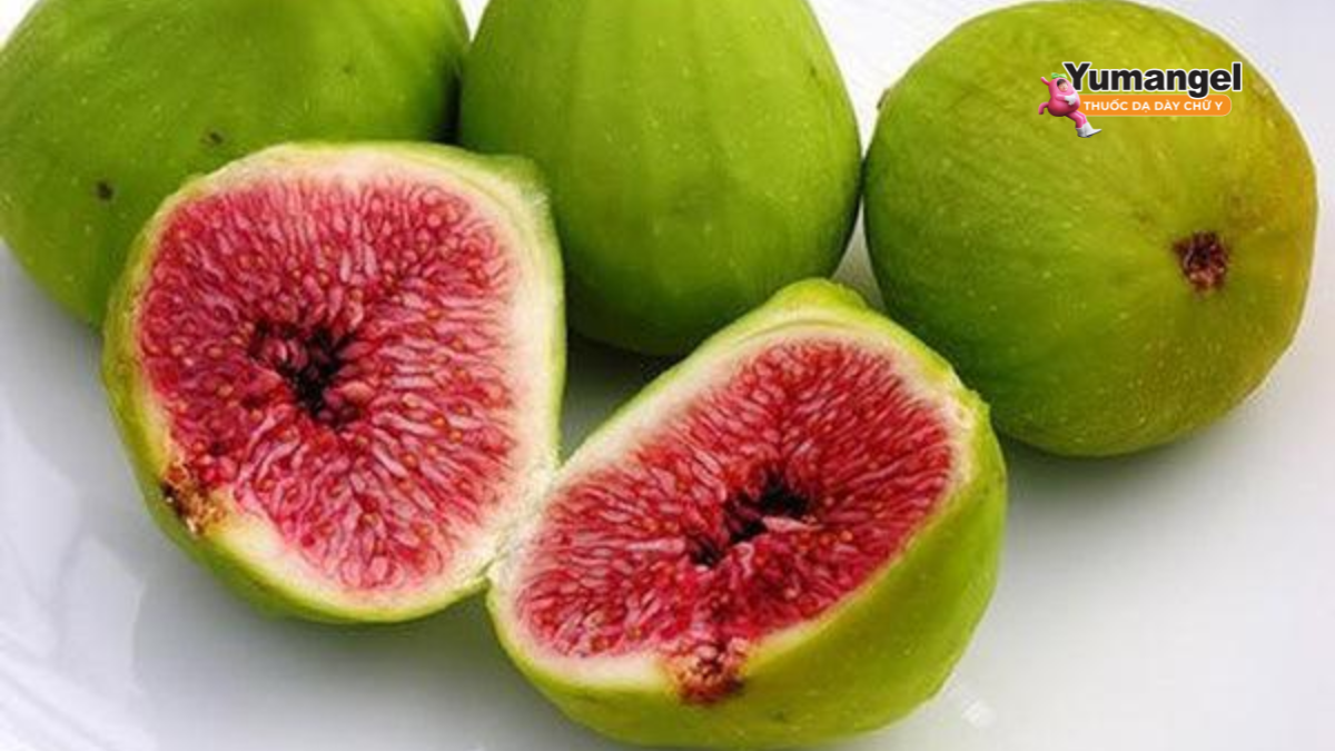 Sung có vị ngọt, tính bình, giúp nhuận tràng