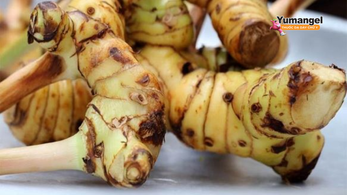 Riềng có tính ấm, giúp giảm đau bụng do lạnh
