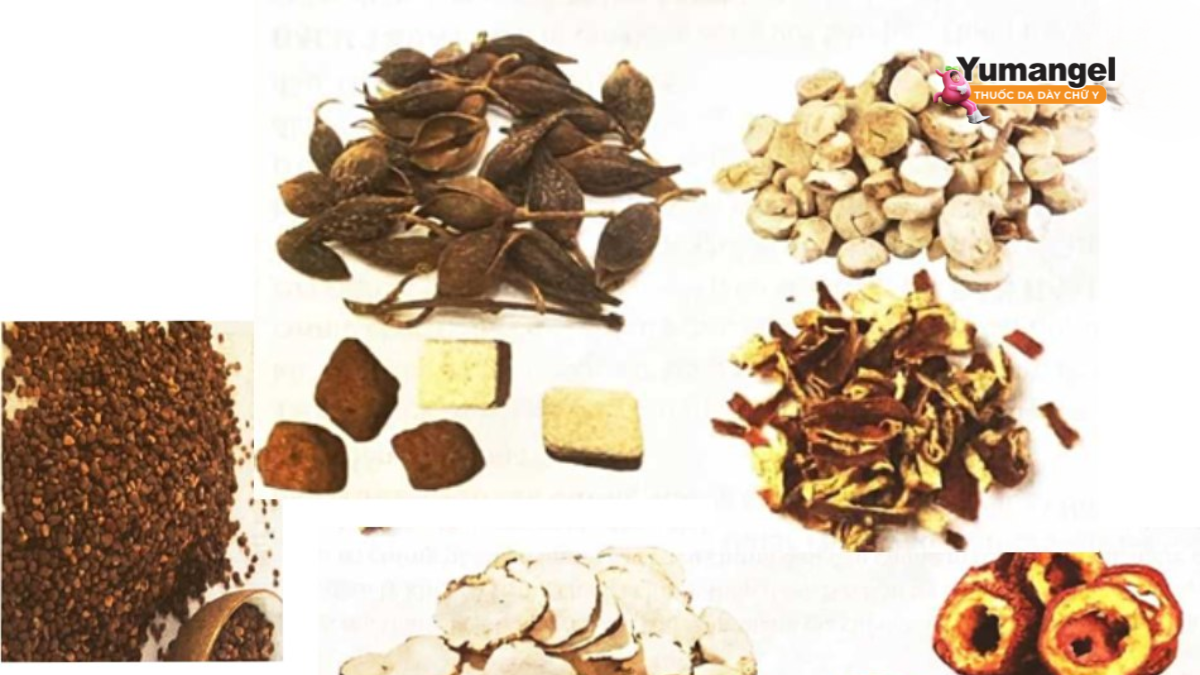 Bài thuốc Bảo Hòa Hoàn