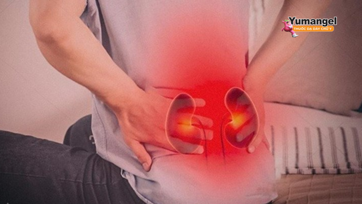Đau lưng do bệnh thận thường ở vùng lưng bên sườn, dưới xương sườn.