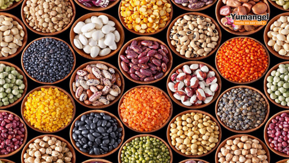 Các loại đậu giàu protein, chất xơ và các khoáng chất
