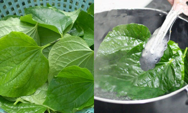 ngâm hậu môn