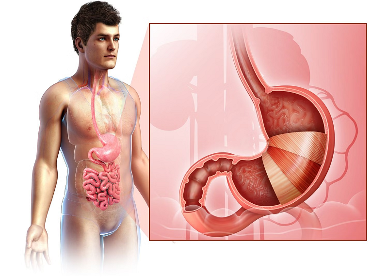 uống thuốc dạ dày có hại thận không
