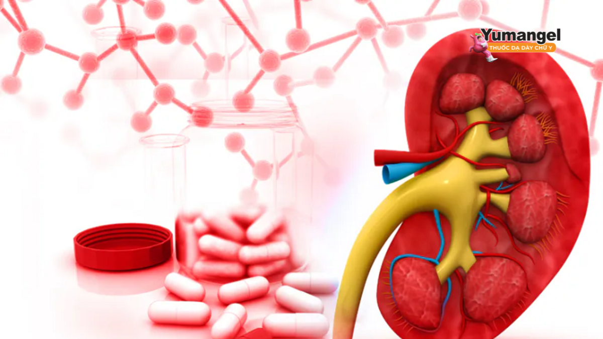 Uống thuốc dạ dày có hại thận không? Hầu hết là an toàn và không gây hại cho thận khi được sử dụng ngắn hạn, đúng liều lượng Uống thuốc dạ dày có hại thận không? Hầu hết là an toàn và không gây hại cho thận khi được sử dụng ngắn hạn, đúng liều lượng