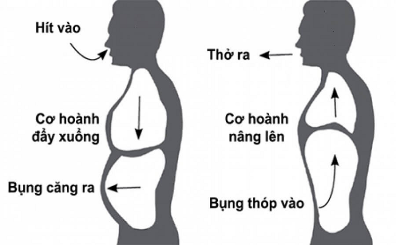 tại sao căng thẳng lại đau dạ dày