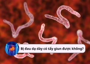 bị đau dạ dày có tẩy giun được không