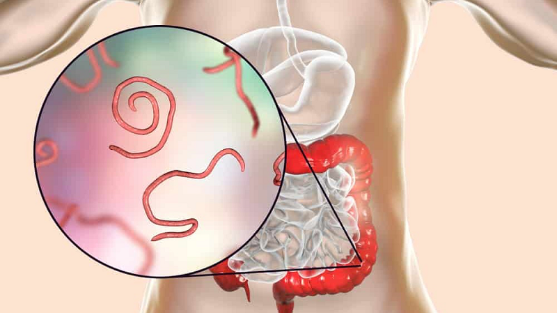 bị đau dạ dày có tẩy giun được không
