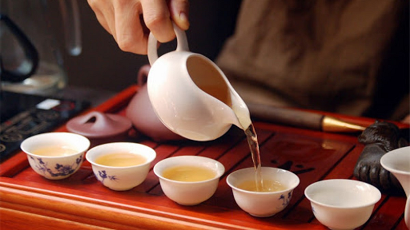 cây cỏ sữa chữa dạ dày
