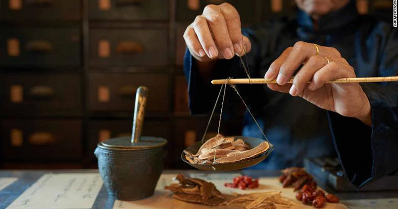 cây cỏ sữa chữa dạ dày