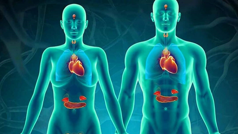 cơ chế tiết dịch vị của dạ dày