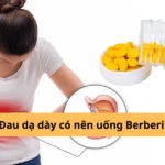 đau dạ dày có nên uống berberin