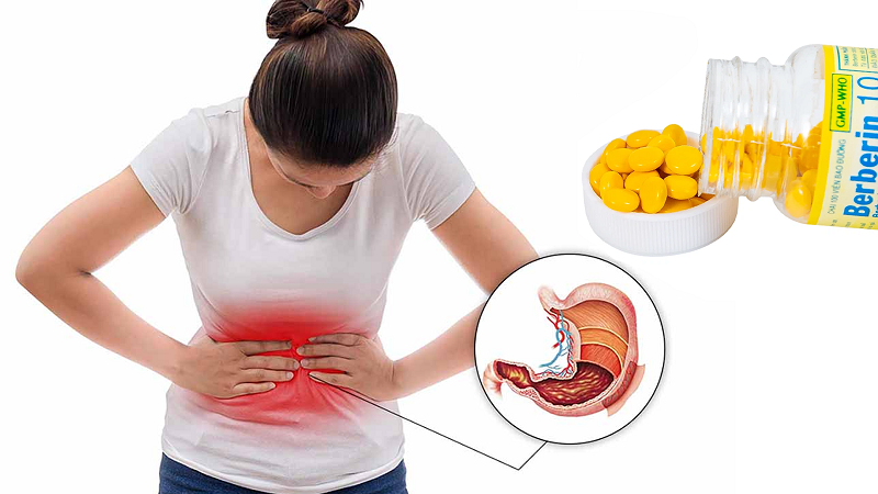 đau dạ dày có nên uống berberin