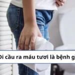 Đi cầu ra máu tươi