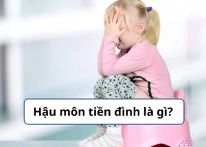 hậu môn tiền đình là gì