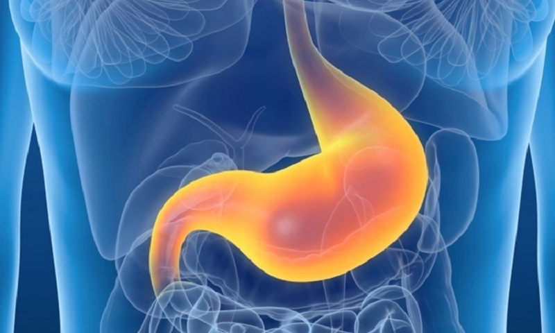 bao lâu thì nên nội soi dạ dày 1 lần