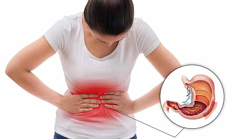 cây hoàn ngọc chữa bệnh dạ dày