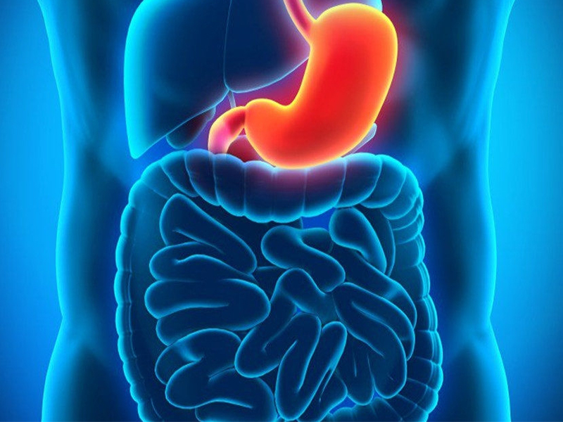 kết quả nội soi dạ dày