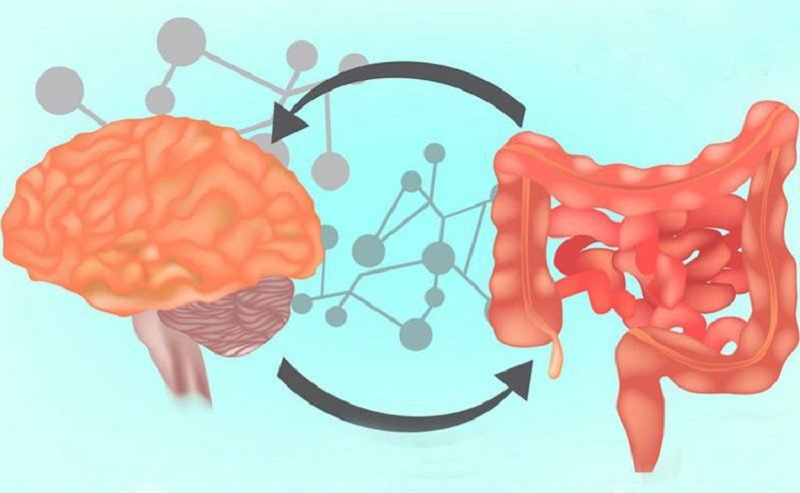 men vi sinh cho người đau dạ dày