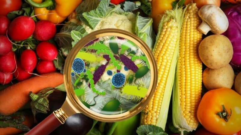 sốt xuất huyết dạ dày