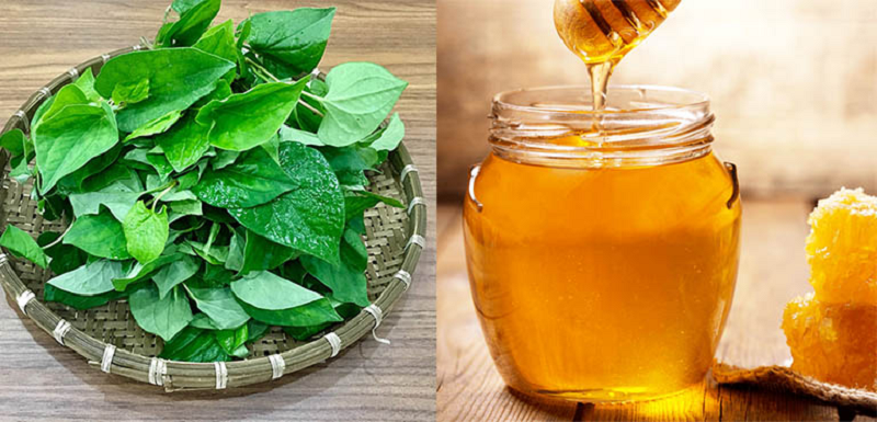 rau diếp cá chữa rò hậu môn