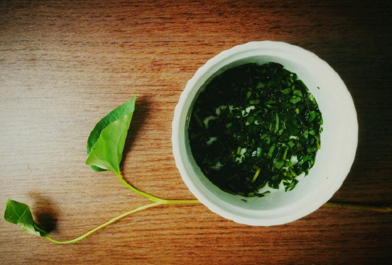 rau diếp cá chữa rò hậu môn