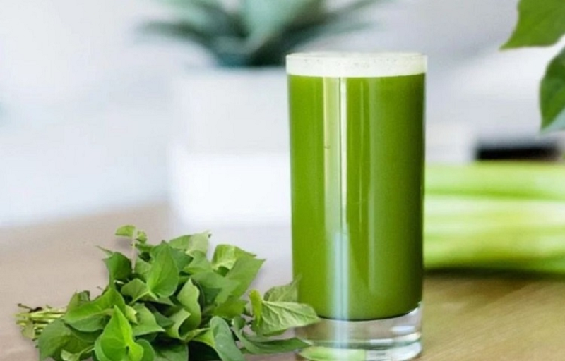 rau diếp cá chữa rò hậu môn