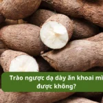 trào ngược dạ dày ăn khoai mì được không