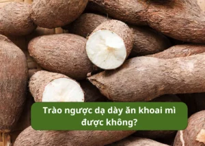 trào ngược dạ dày ăn khoai mì được không