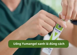 Cách uống Yumangel xanh lá